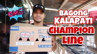 MALUPET ANG LINYADA NG BAGONG KALAPATI KO SA LOFT quotCHAMPION LINEquot MAPAPA WOW AT SANA ALL NA LANG [upl. by Karleen]