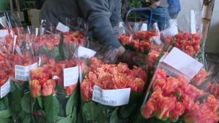 MiracleGros 2016 Rose Parade Float  California Grown [upl. by Tab]