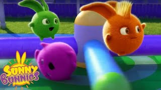 SUNNY BUNNIES  JUMP  Season 7 COMPILATION  Cartoons for Children [upl. by Eelek]