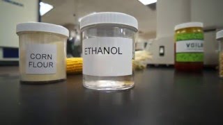 How To Make Ethanol  The Ethanol Effect [upl. by Eiramasil583]