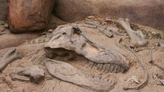 Unearthing Dinosaur Remains  Documentary on Finding Dinosaur Fossils Full Documentary [upl. by Atirhs]