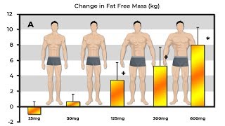 Exactly How Much Muscle Does 25mg 50mg 125mg 300mg amp 600mg Of Testosterone Build [upl. by Hiamerej682]