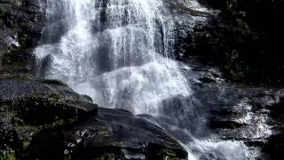 Waterfall in Tijuca National Park Rio de Janeiro Brazil [upl. by Asyram]