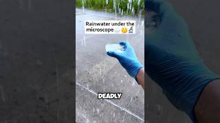 Rain water is deadly 😱 [upl. by Nairda]