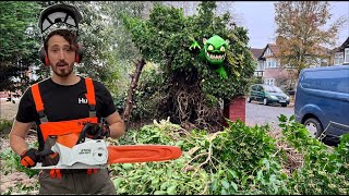 Removal Of Tree KILLED Off By OVERGROWN Ivy  Battery Stihl Chainsaw Doing The Business [upl. by Lyons]