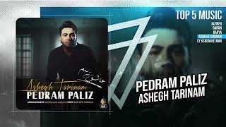 Pedram Paliz  Top 5 Singles  OFFICIAL TRACK [upl. by Zetram743]