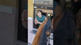 horse lady mad funnyshorts funnymemes women horse mcdonalds [upl. by Adlihtam814]