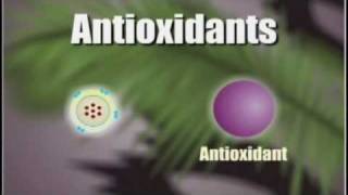 How Antioxidants Work [upl. by Alyaj]