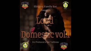 Slingerz Family Loud Domestic Vol1 RampB Mixtape Dj Protocol amp Selector Tallboss [upl. by Araet]