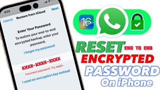 How To RecoverReset WhatsApp end to end Encrypted Password on iPhone [upl. by Bucher667]