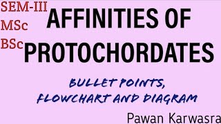 Affinities of protochordates I BSc I MSc I semesterIII zoology CHORDATES [upl. by Raine255]