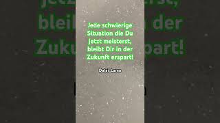 Zukunft 266 [upl. by Kiran]