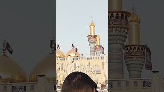 Holy shrine of Imam Musa Kazim and imam Jawad at Kazmain Iraq arbain Official video1446202425 [upl. by Neema]