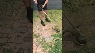 CRAZY driveway CLEANUP and edge shorts lawn [upl. by Kohsa]