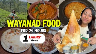 Eating WAYANAD Kerala Food for 24 Hours  Last Episode [upl. by Emixam489]