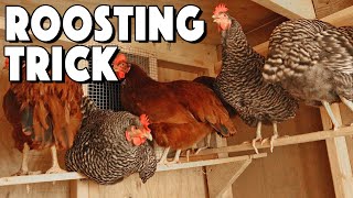 Chicken Roosting Bars Ideas To Help Your Flock Roost  Special Trick That SAVED Us [upl. by Ecnadnac]