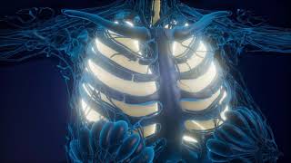 What Is Eosinophilic Asthma [upl. by Stanly]