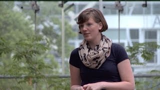 Bachelorstudent aan Wageningen University amp Research [upl. by Durrej]