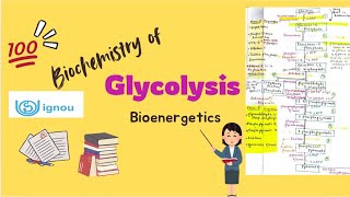 Glycolysis  Biochemistry  BSCG  BCHET  BZYCT  IGNOU ignouexams glycolysis biochemistry bsc [upl. by Oicanata]