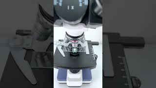 Cat saliva at 400X magnification is seriously so coolfyp funnyvideos microscope funny [upl. by Innattirb]