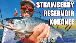 Strawberry Reservoir Kokanee Kokanee Across America [upl. by Menell]