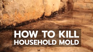 How to Kill Household Mold [upl. by Ainos]