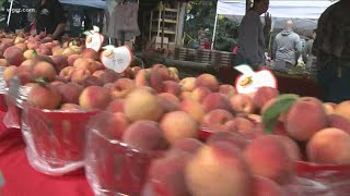 Lewiston Peach Festival returning September 9 through 12 for 63rd year [upl. by Eleira86]