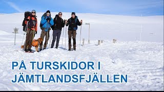 Turskidor i Jämtlandsfjällen  april 2019 [upl. by Aysahc]