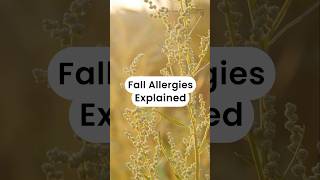 Fall Allergies Explained allergies shorts mcmasteruniversity machealthsci [upl. by Tema505]