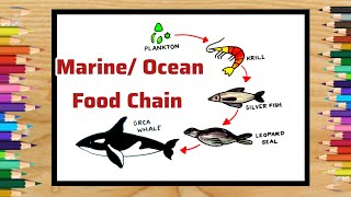 ocean food chain drawingmarine food chain drawingsea food chain drawing [upl. by Pedersen]