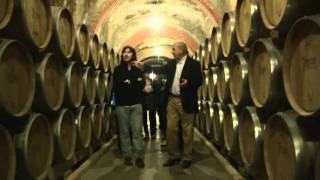 Visita a Bodegas Protos [upl. by Valaree]