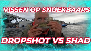 Vissen door het land 10 DROPSHOT VS SHAD VEEL SNOEKBAARS [upl. by Aratihc]