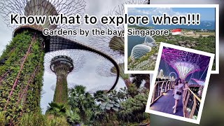 Gardens by the bay Singapore 🇸🇬  Proper plan with best timings to explore the gardens singapore [upl. by Ecirtap679]