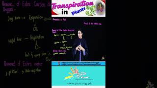 Transpiration in Plants I Homeostasis in Plants I Biology lecture 12 I transpiration biology [upl. by Victorie]