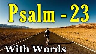 Psalm 23 Reading Finding Peace in the Shepherds Care With words  KJV [upl. by Nodnyl265]