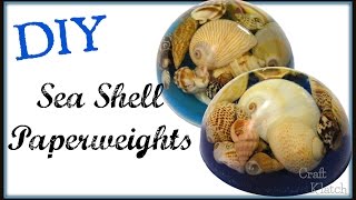 Sea Shell Resin Paperweight  DIY Project  Craft Klatch  Resin Projects  How To [upl. by Ramonda580]