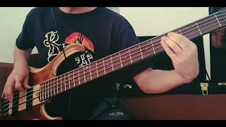 Madonna  Material Girl bass cover [upl. by Alysoun]