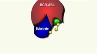 Gleevec Mechanism of Action [upl. by Stutzman959]