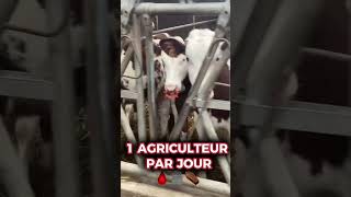 1 agriculteur tout les jours ⚰️🆘 sos agriculture élevage vache montbéliarde mort agriculteur [upl. by Wiley]