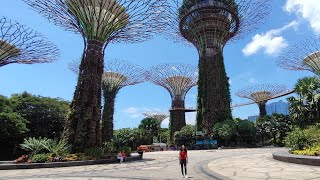 Gardens Bay the Bay Singapore [upl. by Leorsiy]