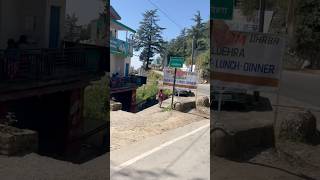 Naldehra Ya Shimla Tourist Kaha Jaye minivolgs shortvideo vlog minivlog vlogger vlog viral [upl. by Farlee]