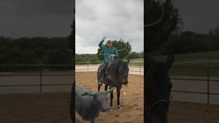 Team Roping Drill for Beginners teamroping [upl. by Emmott]