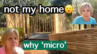 why call it a micro not tiny homeday 1 framingbuilding the wallsmore expenses [upl. by Jandy]