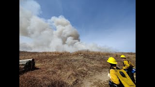 Prescribed Burn at Penikese Island [upl. by Towroy]