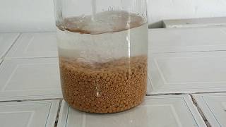 How to dry molecule sieves to produce 100 anhydrous alcohol ethanol [upl. by Farra]