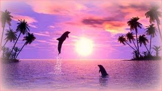 ❀ Soothing Relaxation with Dolphins [upl. by Colin]