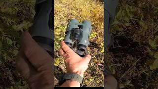 Swarovski NL Pure 8x42mm Binoculars swarovski swaro binoculars review youtuber [upl. by Elokkin]