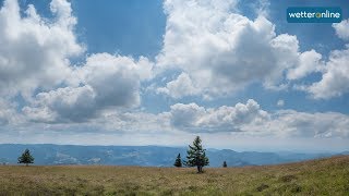 Sommer im Schwarzwald 18072018 [upl. by Ennahteb]