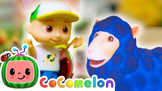 Baa Baa Wooly Black Sheep  🐑🎀  Toy Play Learning  CoComelon Nursery Rhymes amp Kids Songs [upl. by Aliahkim837]