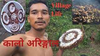 Aaja Aringal khaiyoKalo AringalSandeep Magar Vlog [upl. by Mossman237]